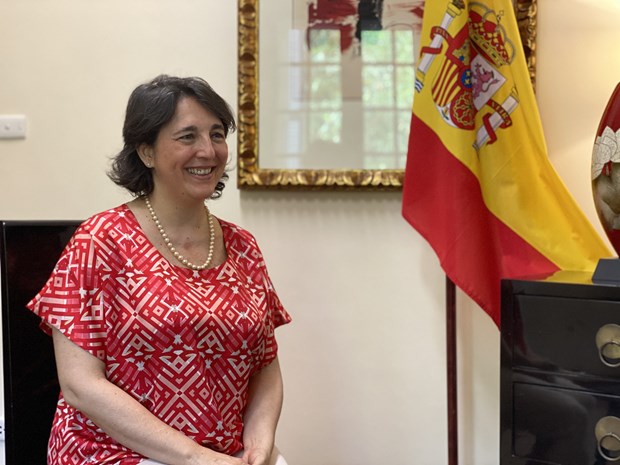 Spain committed to accompanying Vietnam in renewable energy growth ambassador